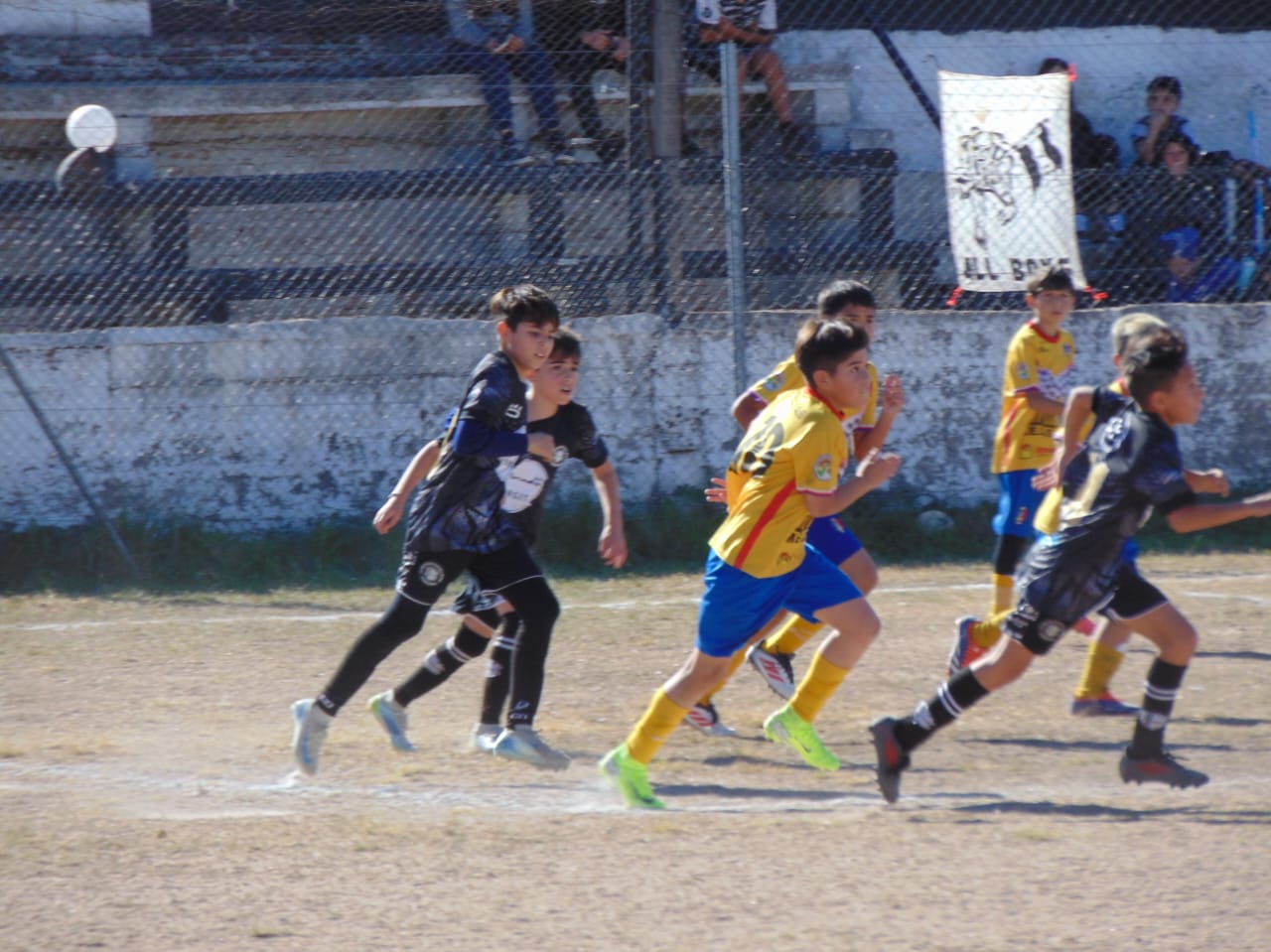 Imagen 1